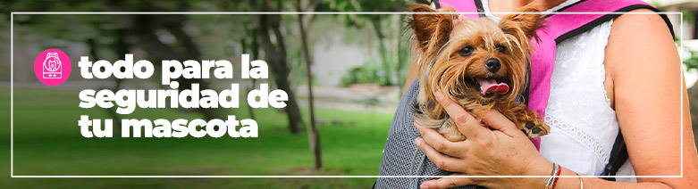 Ropa para perros