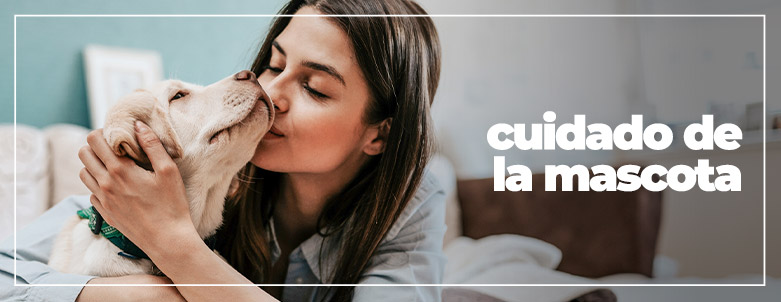 Adiestramiento canino