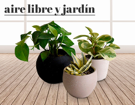 Jardin