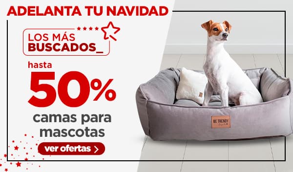 Vestuario, calzado y accesorios