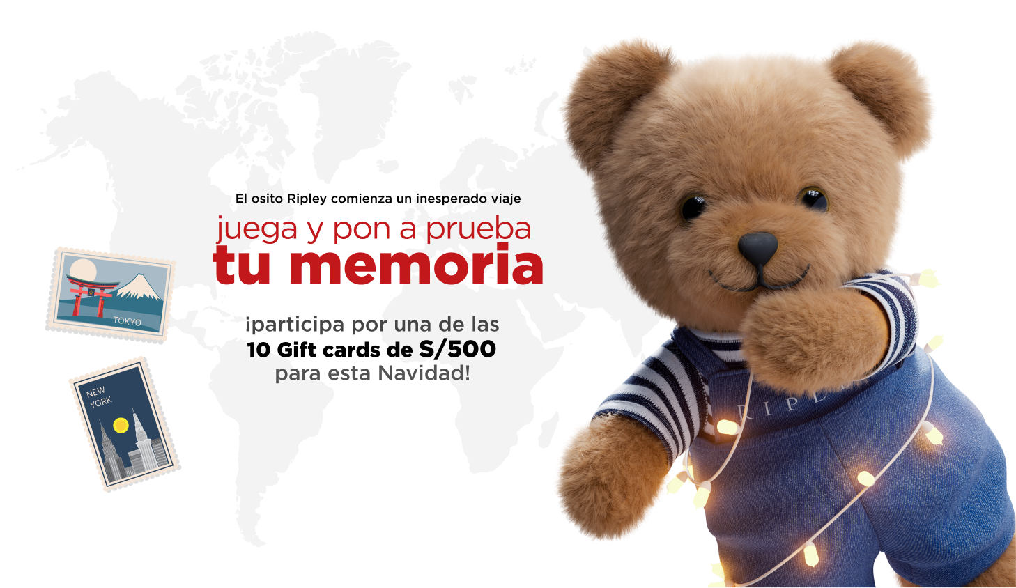 imagen osito