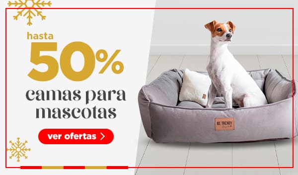 Vestuario, calzado y accesorios