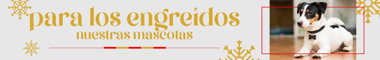 Para los engreidos mascotas