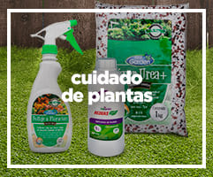Herramientas de jardinería